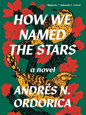 cover image of How We Named the Stars